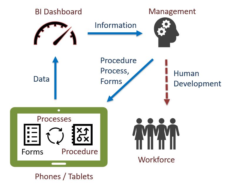 Case Management